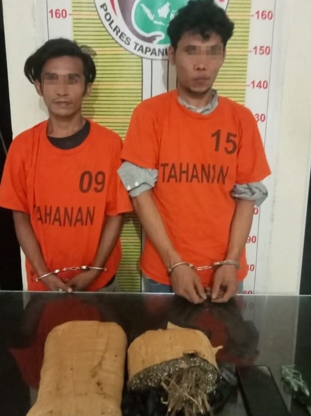 Kedua pria berikut barang bukti 2 ball ganja 1.5 Kg usai ditangkap personel Sat Resnarkoba Polres Tapsel
