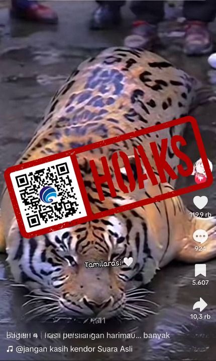 Hasil Persilangan Harimau dan Anjing Laut