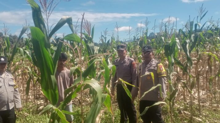 Polres Tapsel dukung swasembada pangan