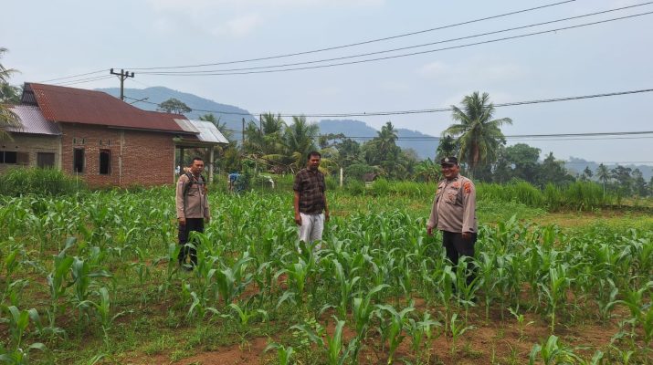 Polsek Batangtoru swasembada pangan