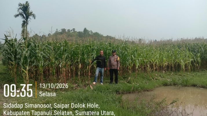 Bhabinkamtibmas Polsek SD Hole cek tanaman jagung dukung swasembada pangan