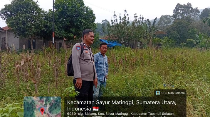 Pengecekan lahan jagung pipil